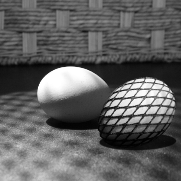 digital photography